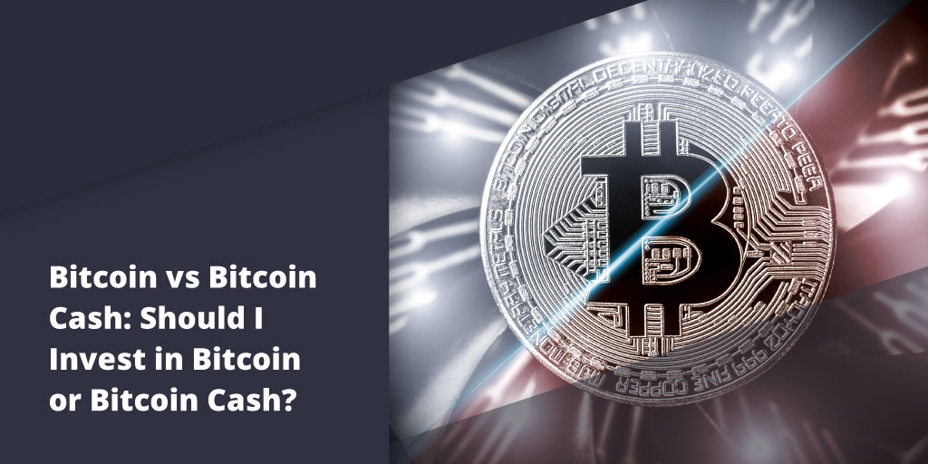 Bitcoin Versus Bitcoin Cash: Which Of The Hard Forks Is Worth Investing In? - Blog Primexbt 16 11